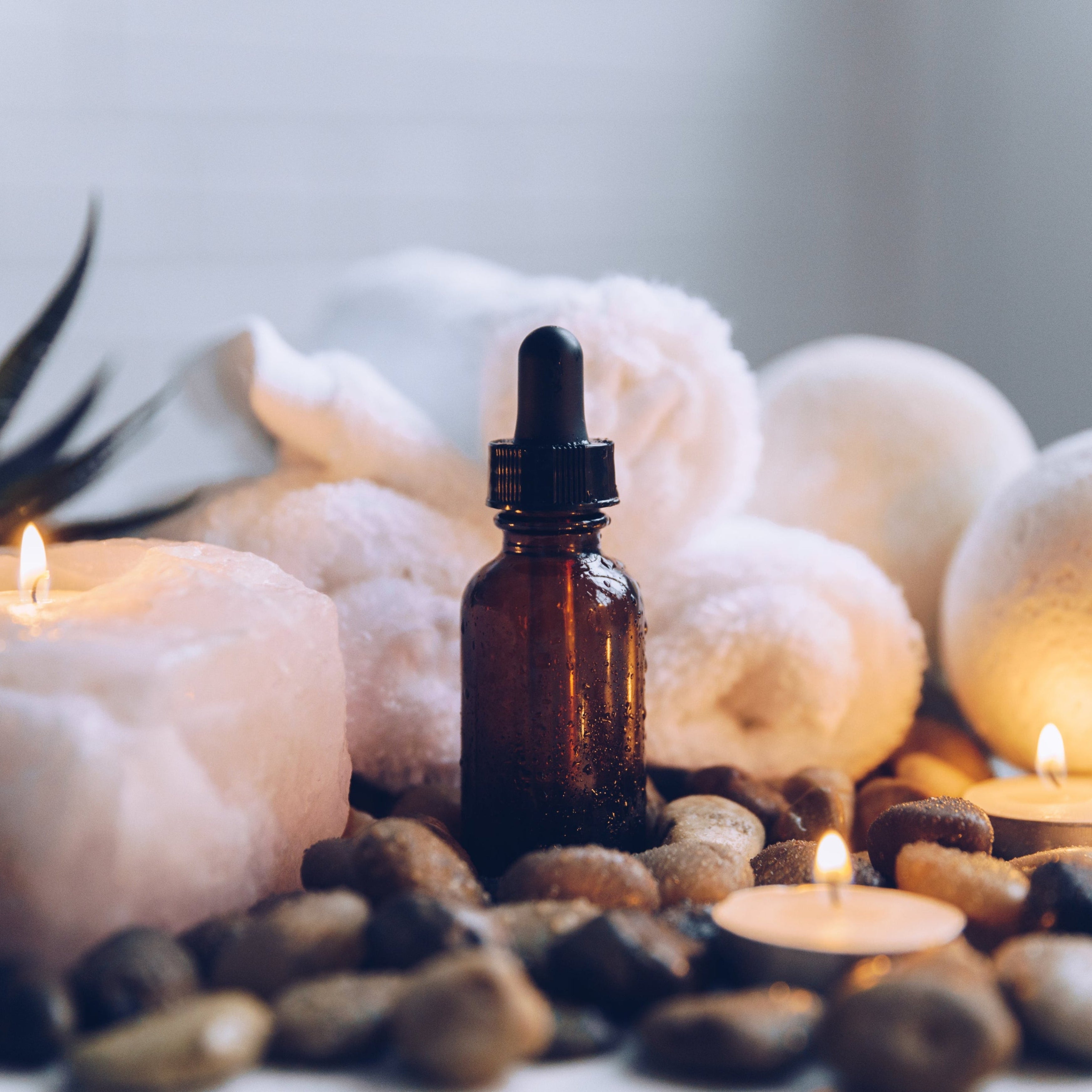 Unlock Your Hair's Full Potential
